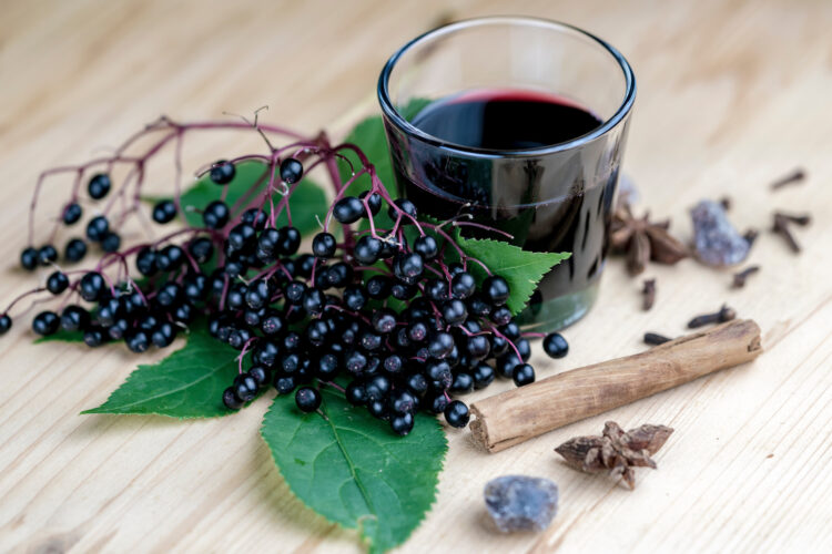 Can You Take Elderberry Daily For Cold And Flu? Mother Earth News